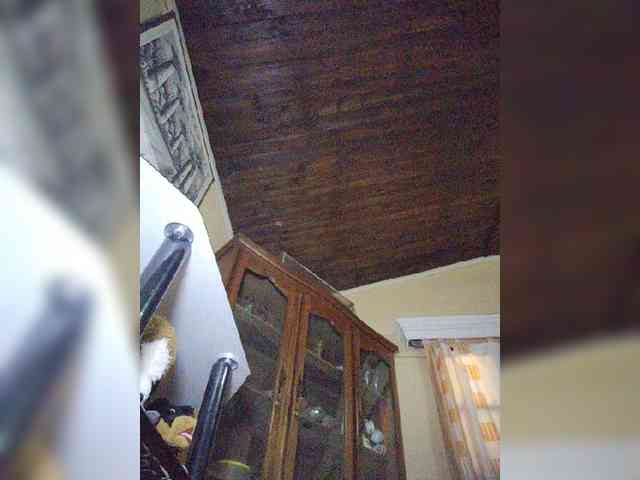 Stella11 webcam