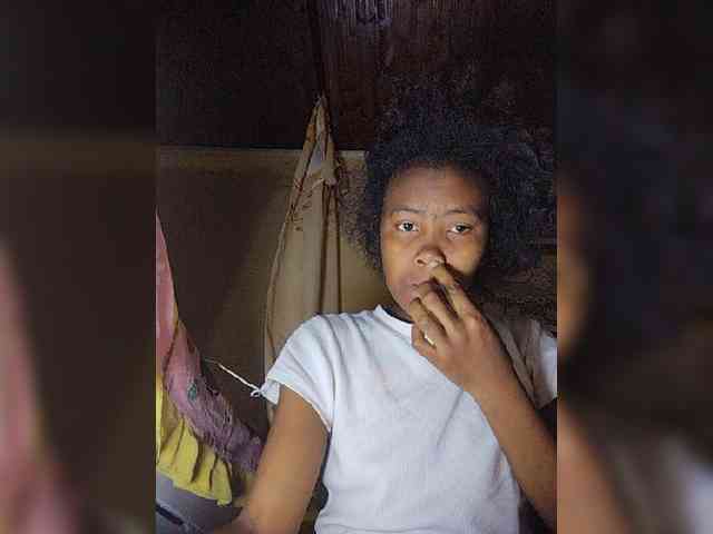 Stella11 webcam