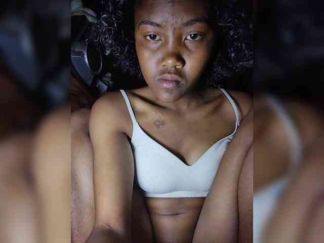 Stella11 webcam
