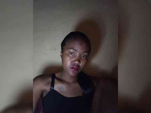 Stella11 webcam