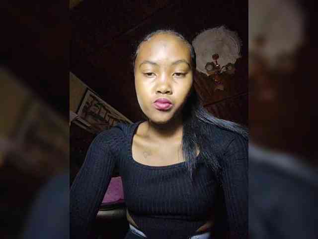 Stella11 webcam