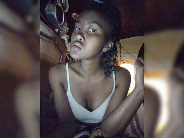 Stella11 webcam