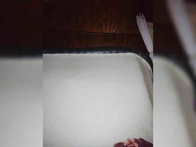 Stella11 webcam