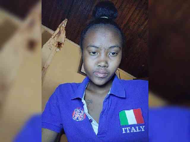 Stella11 webcam