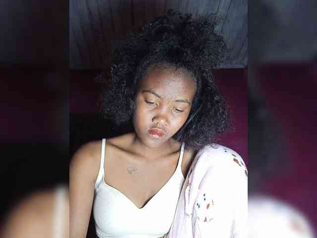 Stella11 webcam