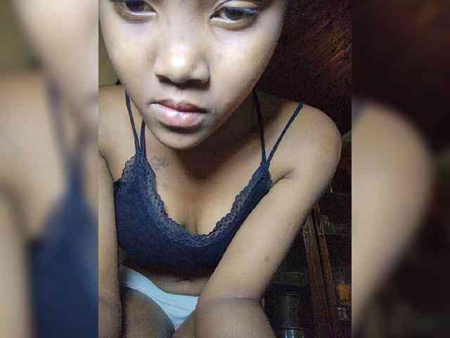 Stella11 webcam