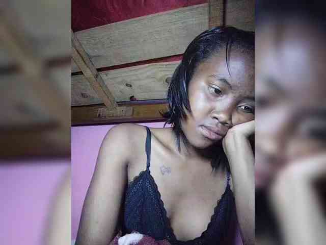 Stella11 webcam