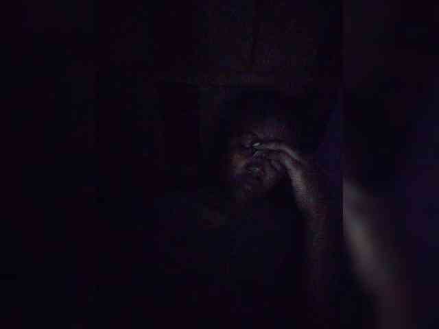 Stella11 webcam