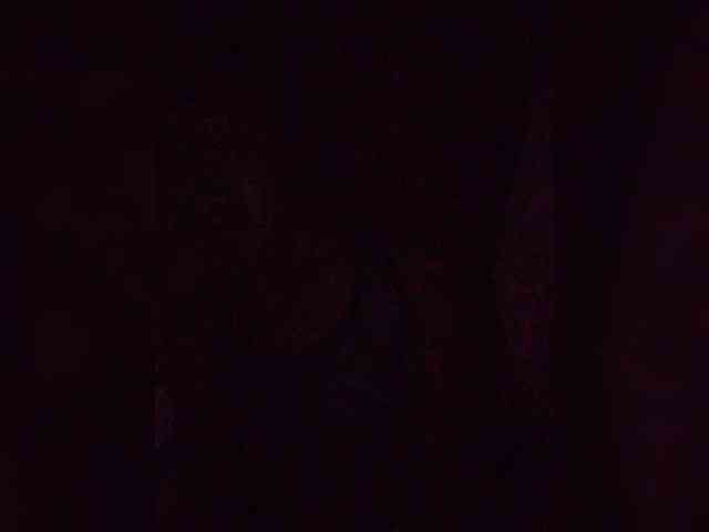 Stella11 webcam
