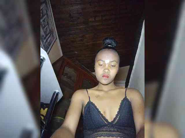 Stella11 webcam