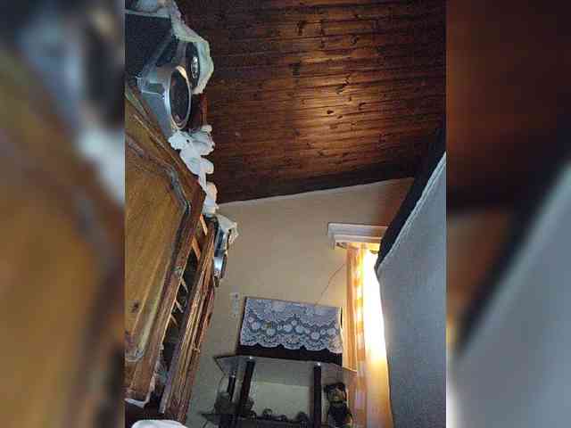 Stella11 webcam