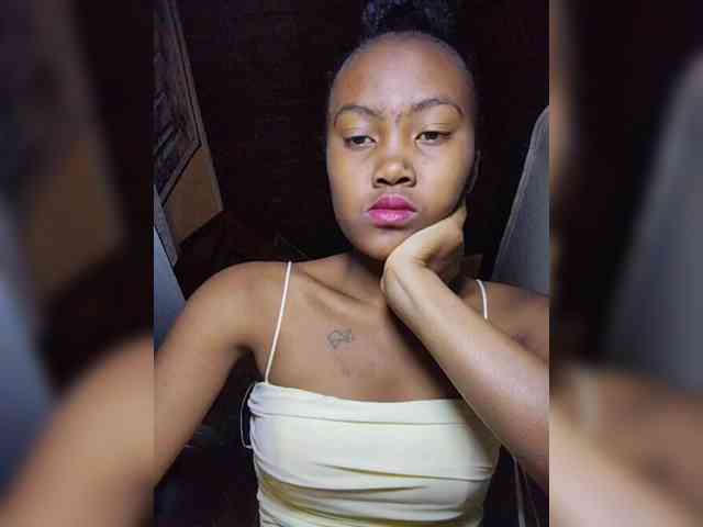 Stella11 webcam