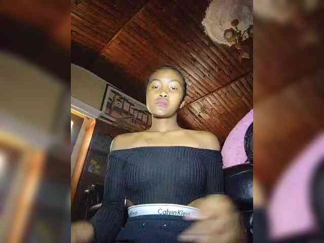 Stella11 webcam
