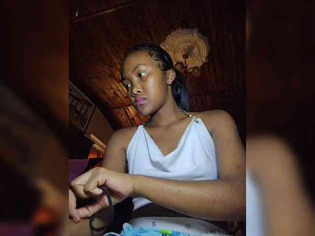 Stella11 webcam