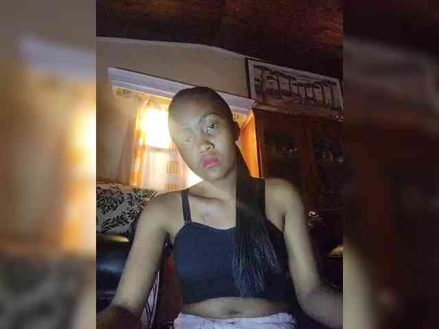 Stella11 webcam