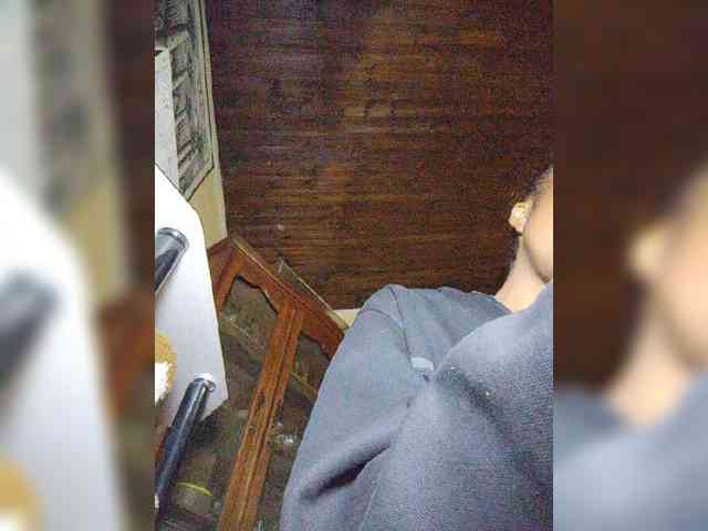 Stella11 webcam