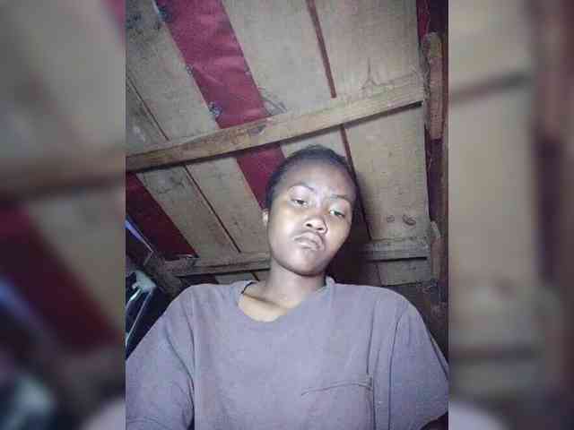 Stella11 webcam