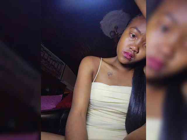 Stella11 webcam