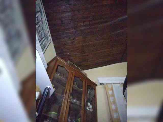 Stella11 webcam