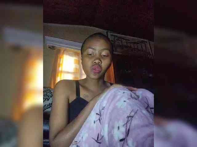 Stella11 webcam