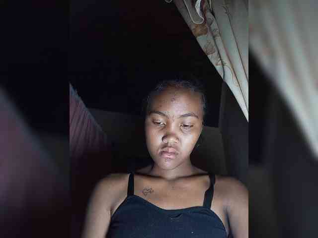 Stella11 webcam