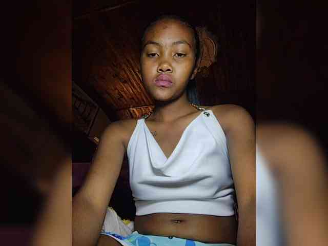 Stella11 webcam