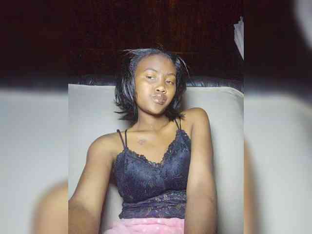 Stella11 webcam