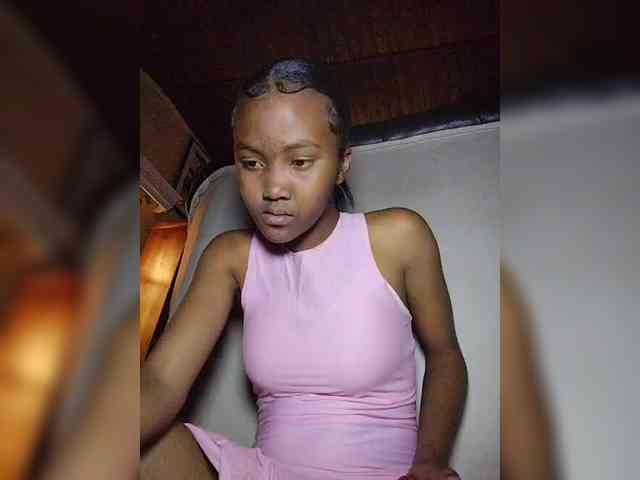Stella11 webcam