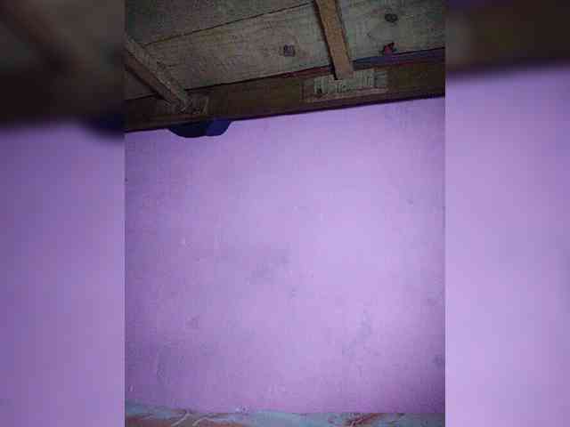 Stella11 webcam