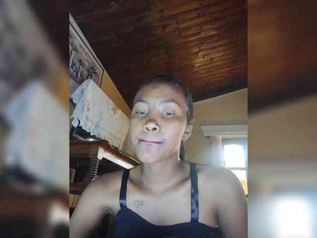 Stella11 webcam