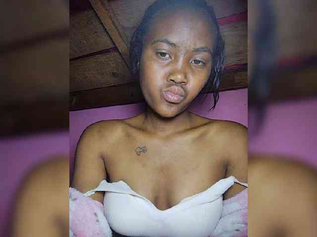 Stella11 webcam