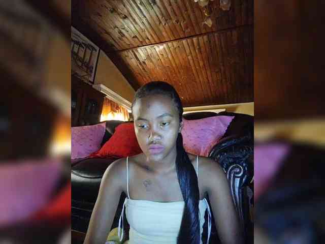 Stella11 webcam