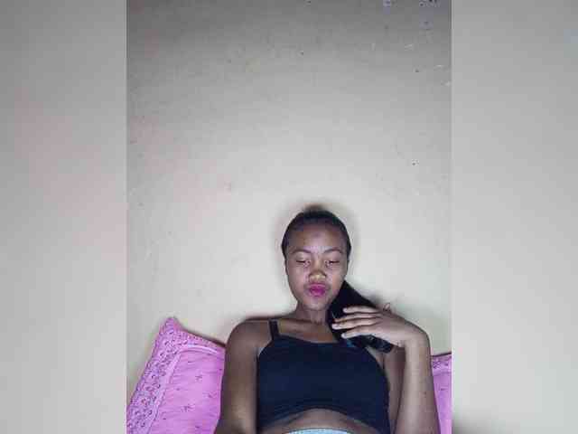 Stella11 webcam
