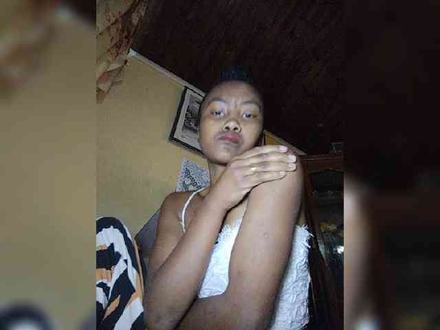 Stella11 webcam