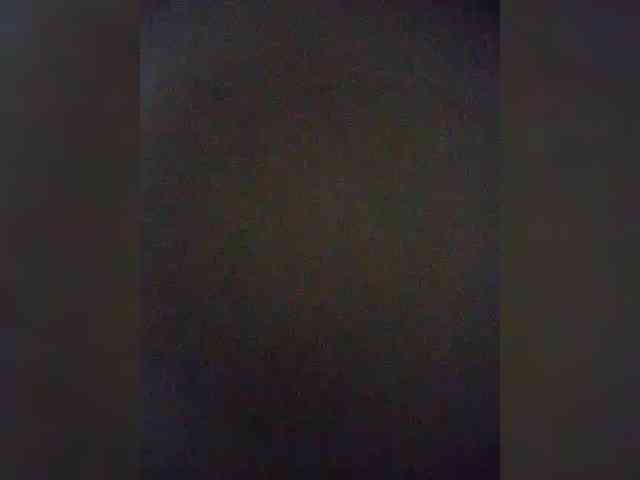 Stella11 webcam