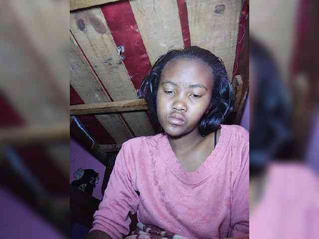Stella11 webcam