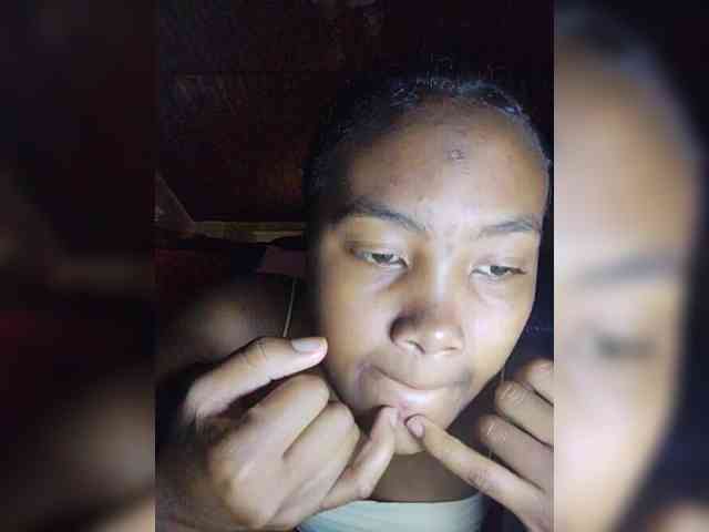 Stella11 webcam