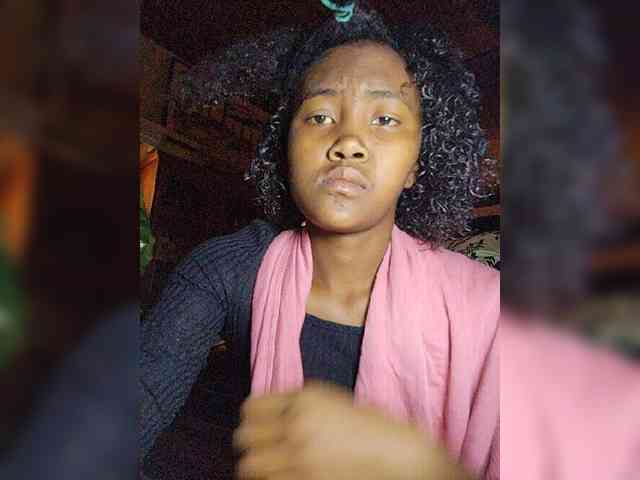 Stella11 webcam