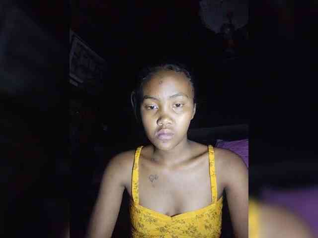 Stella11 webcam