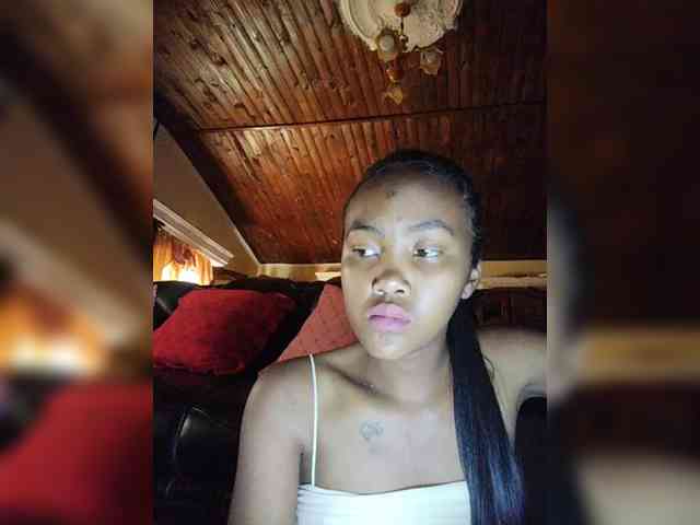 Stella11 webcam