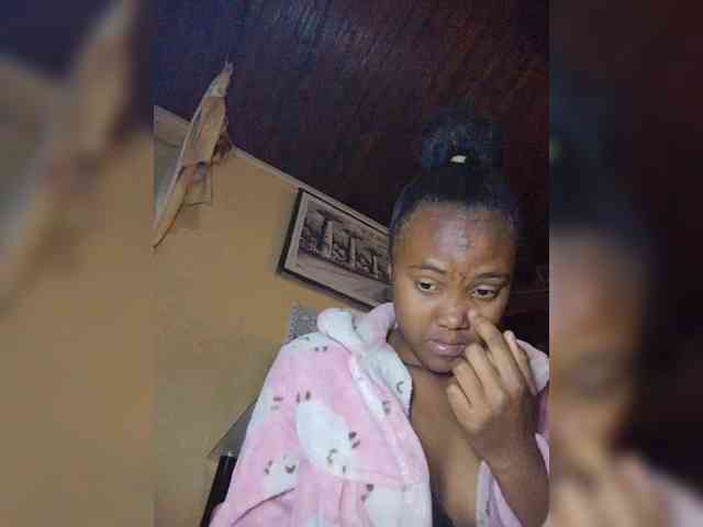 Stella11 webcam