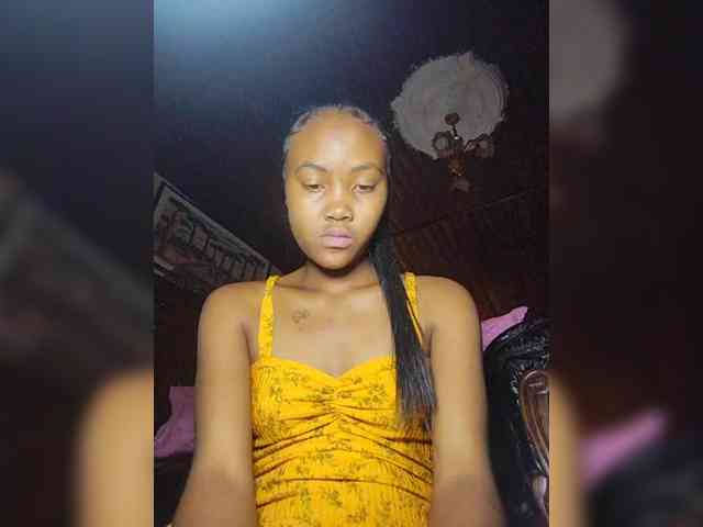 Stella11 webcam