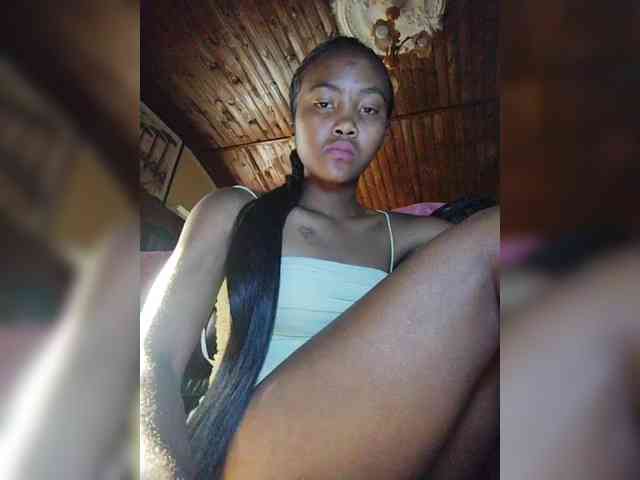 Stella11 webcam