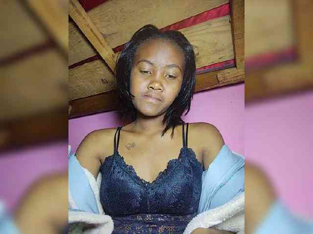 Stella11 webcam