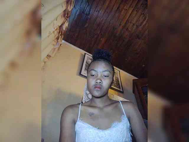 Stella11 webcam