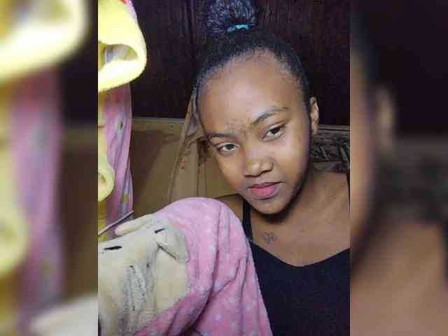 Stella11 webcam
