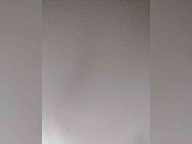 Stella11 webcam