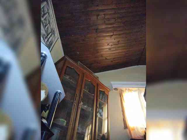 Stella11 webcam