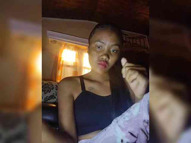 Stella11 webcam