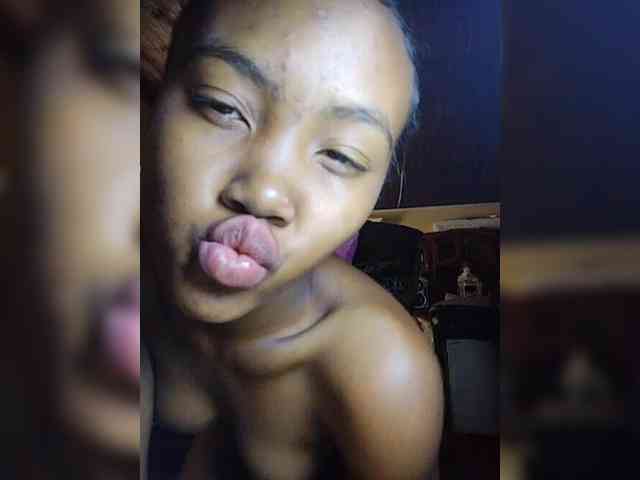 Stella11 webcam